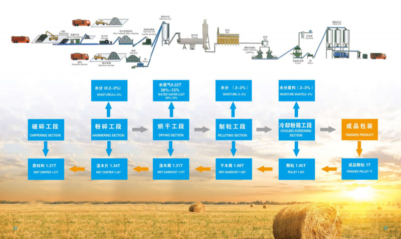 28圈宣传册_13 - 副本.png